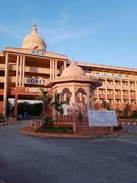Adichunchanagiri University