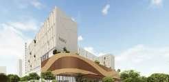 NMV University